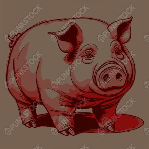 Pig