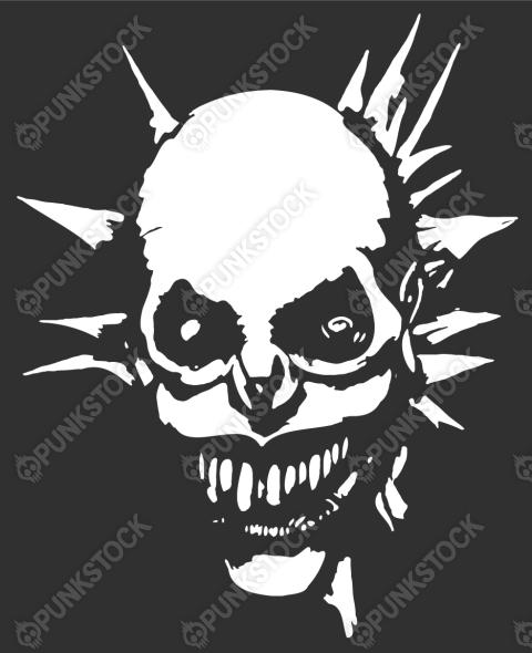 Russian sleep experiment