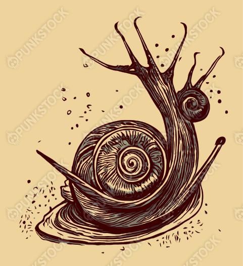 Snail