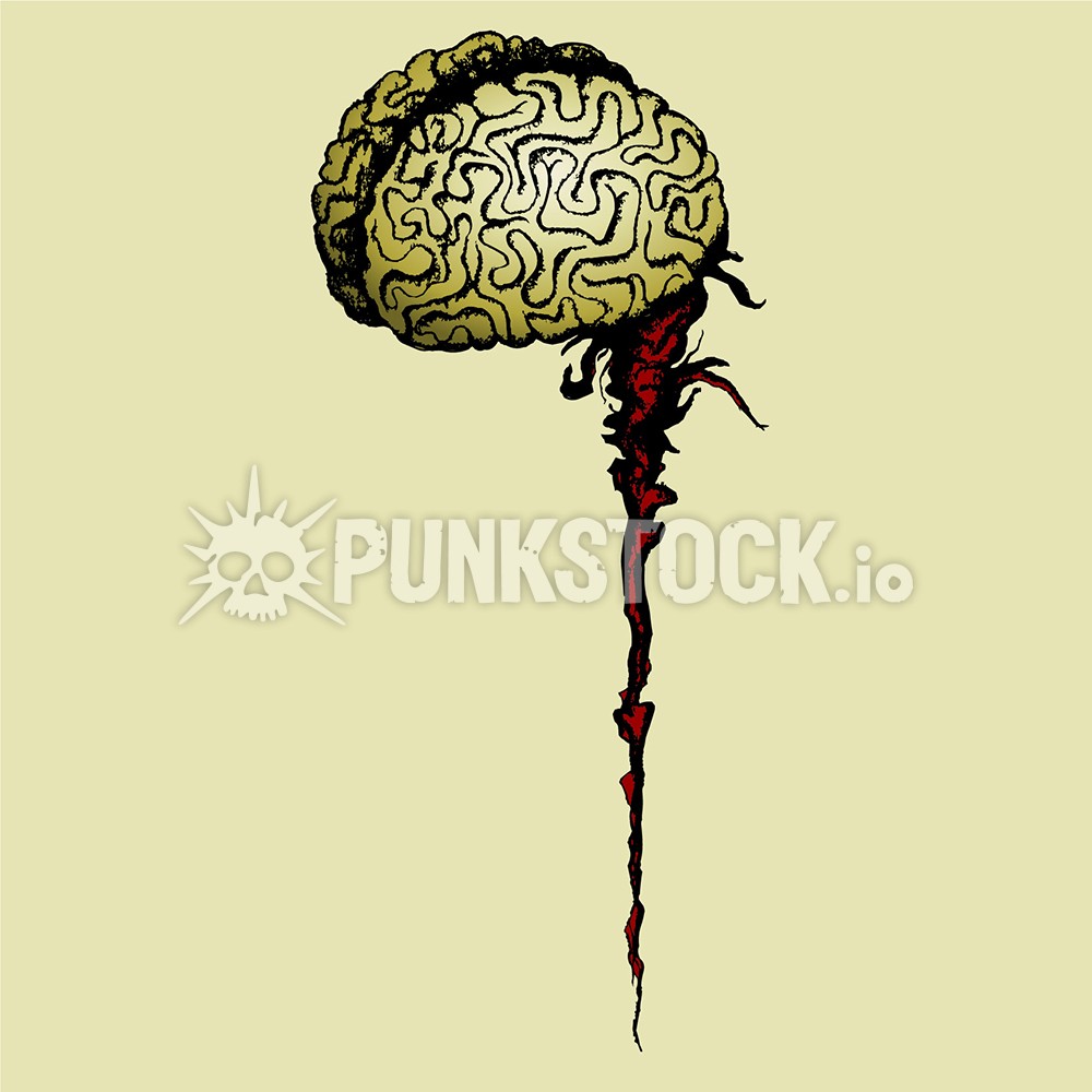 Brain brains stem vector graphic
