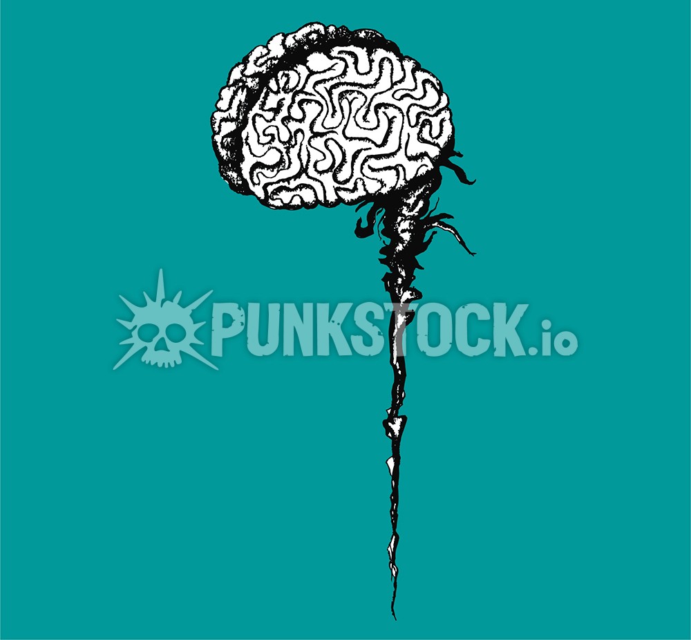 Brain brains stem vector graphic