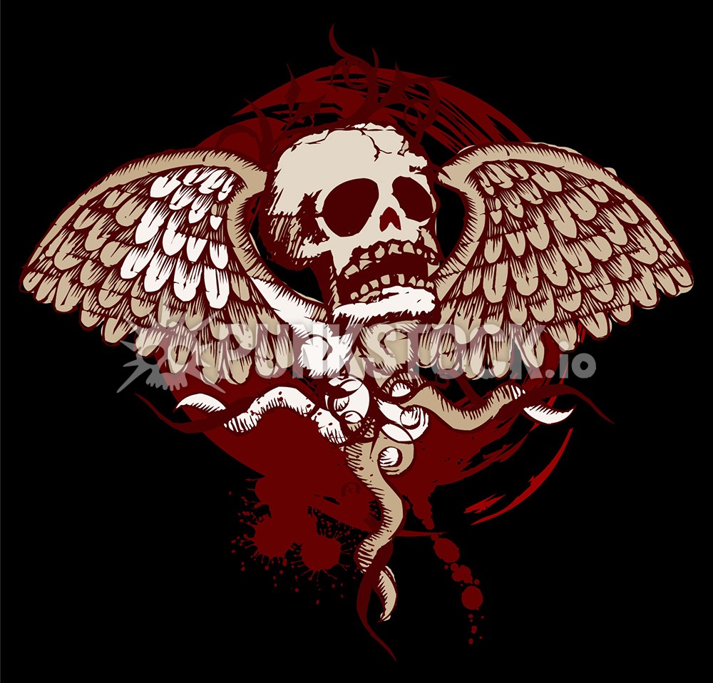 Wing wings skull vector graphic