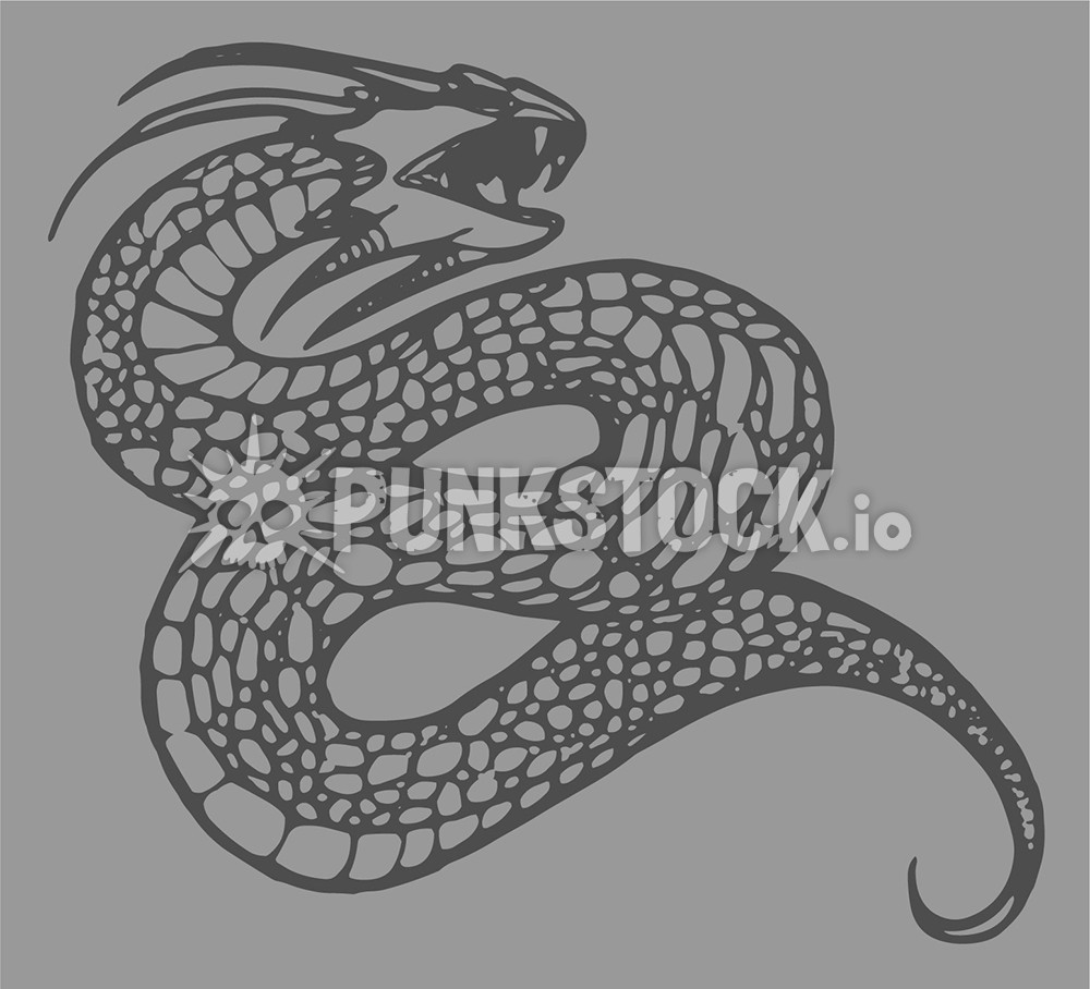 Snake snakes dragon vector graphic