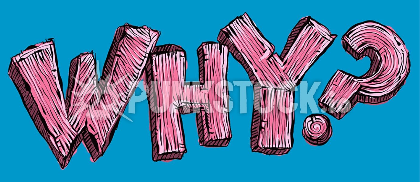 Sketch doodle drawing vector graphic