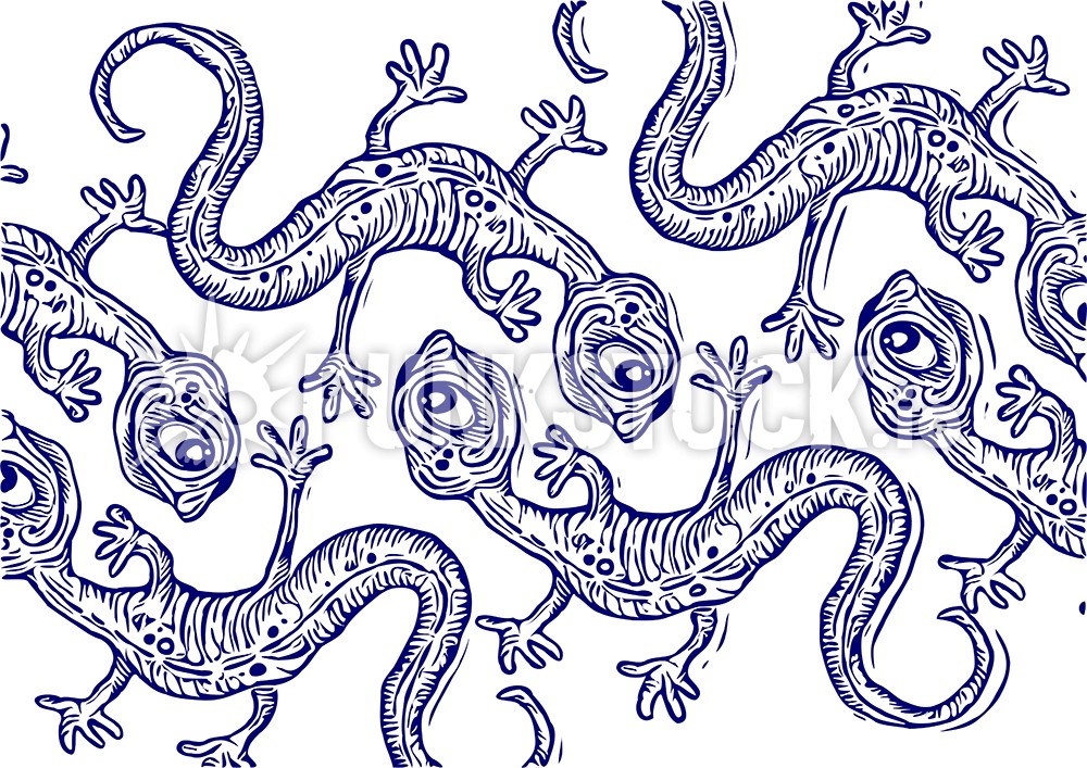 Salamander salamanders gecko vector graphic