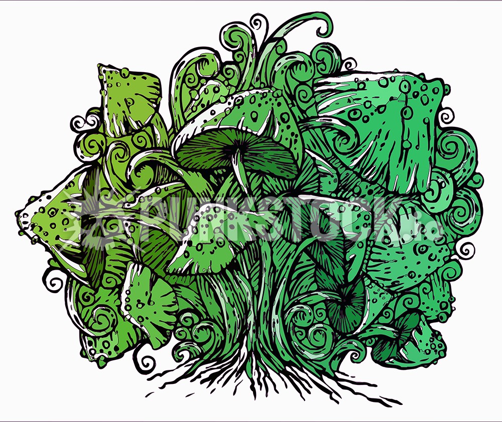 Sketch doodle drawing vector graphic