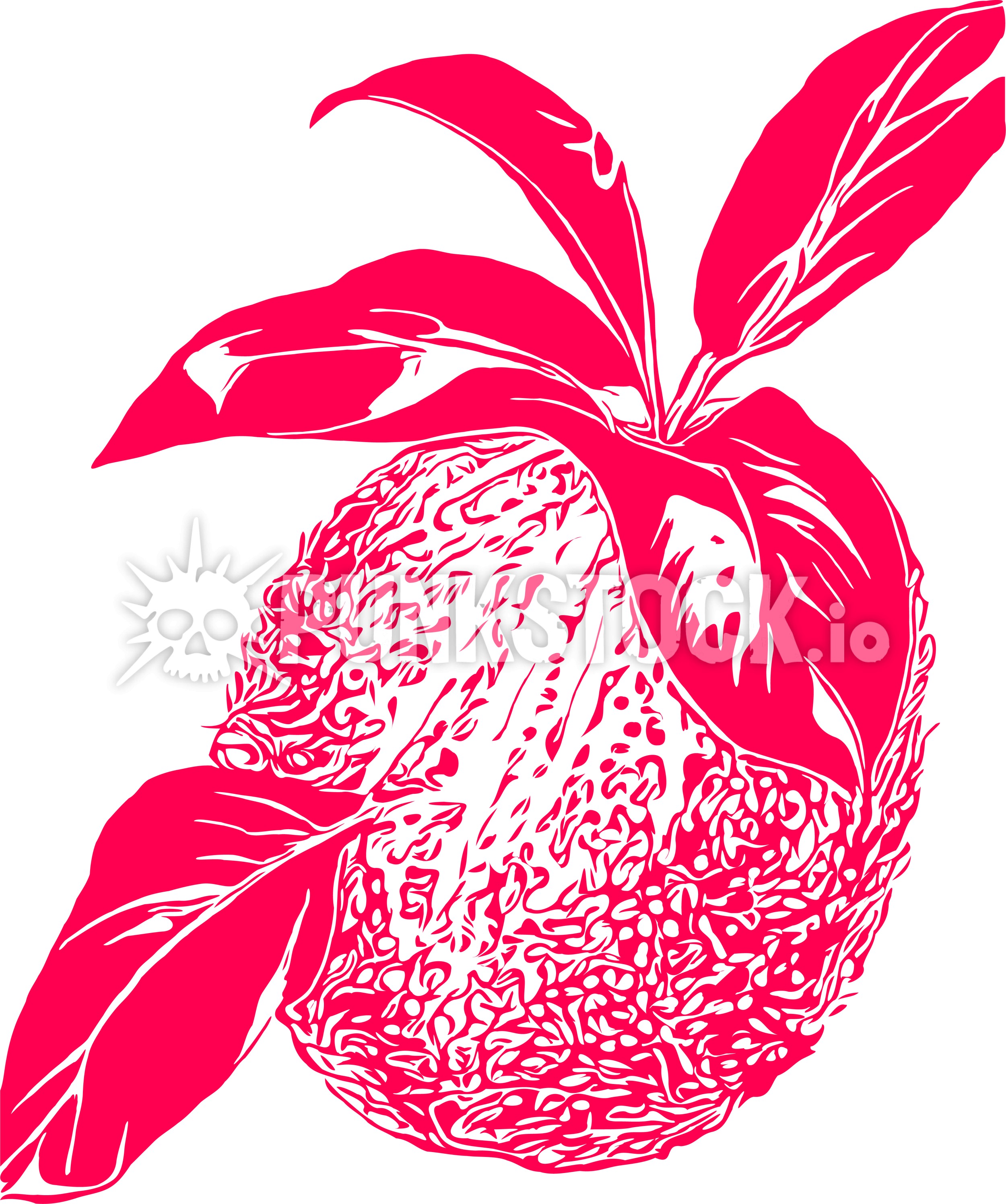 Fruit pink health vector graphic