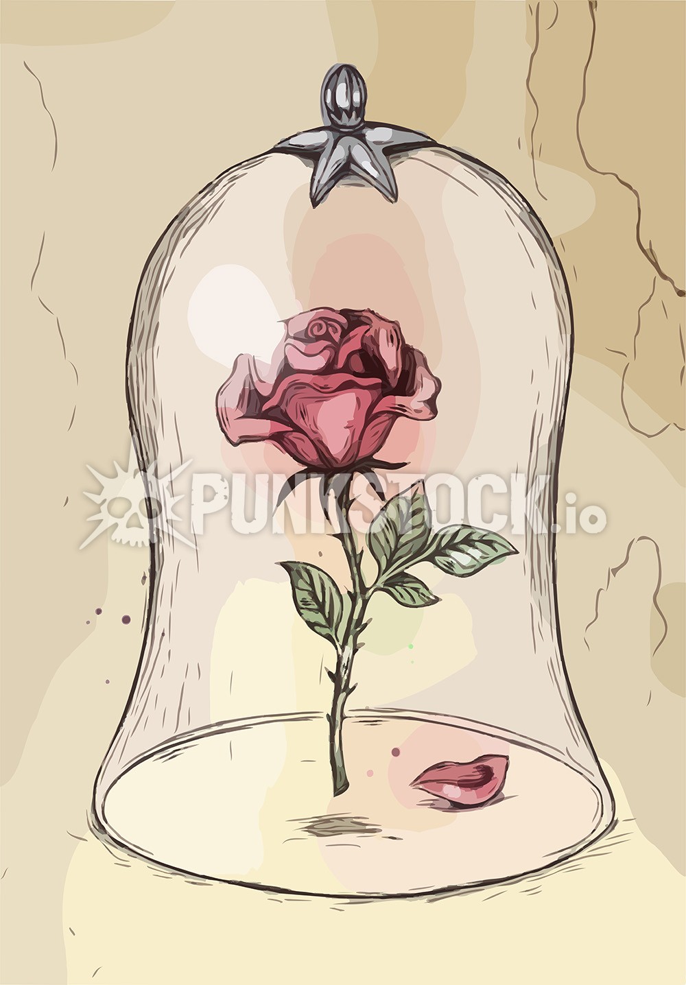 Rose fairytale beauty vector graphic