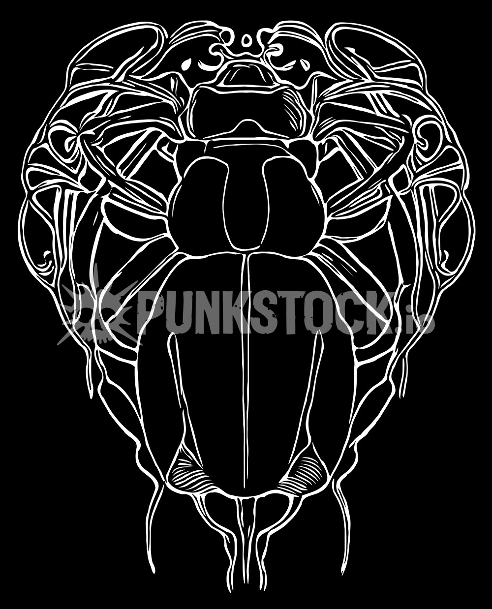 Art nouveau bug beetle vector graphic