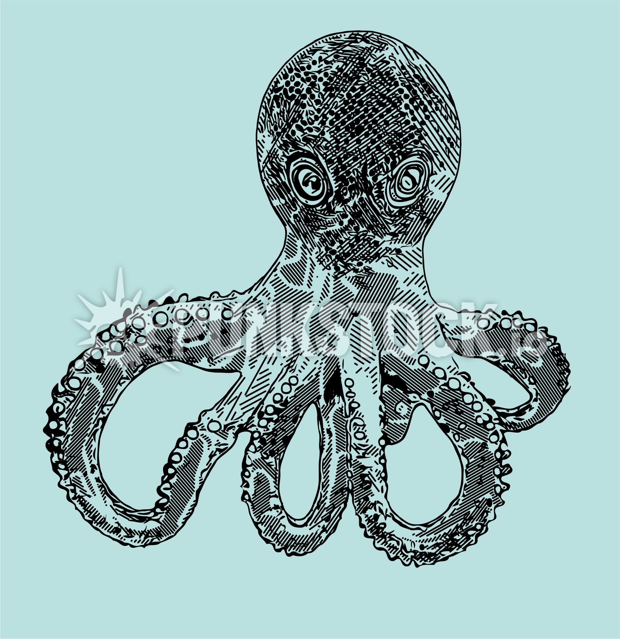 Squid squids octopus vector graphic