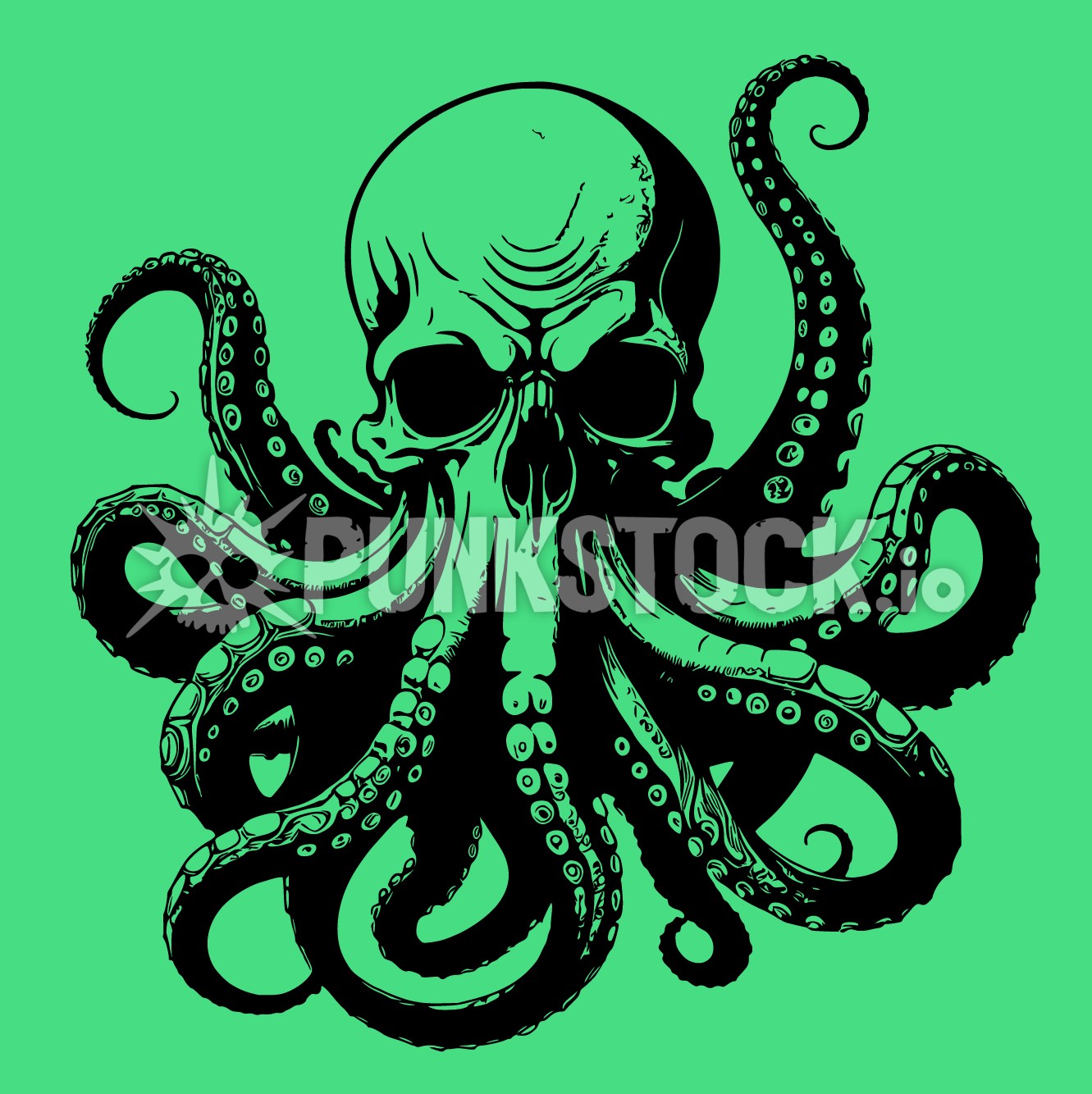 Squid squids octopus vector graphic