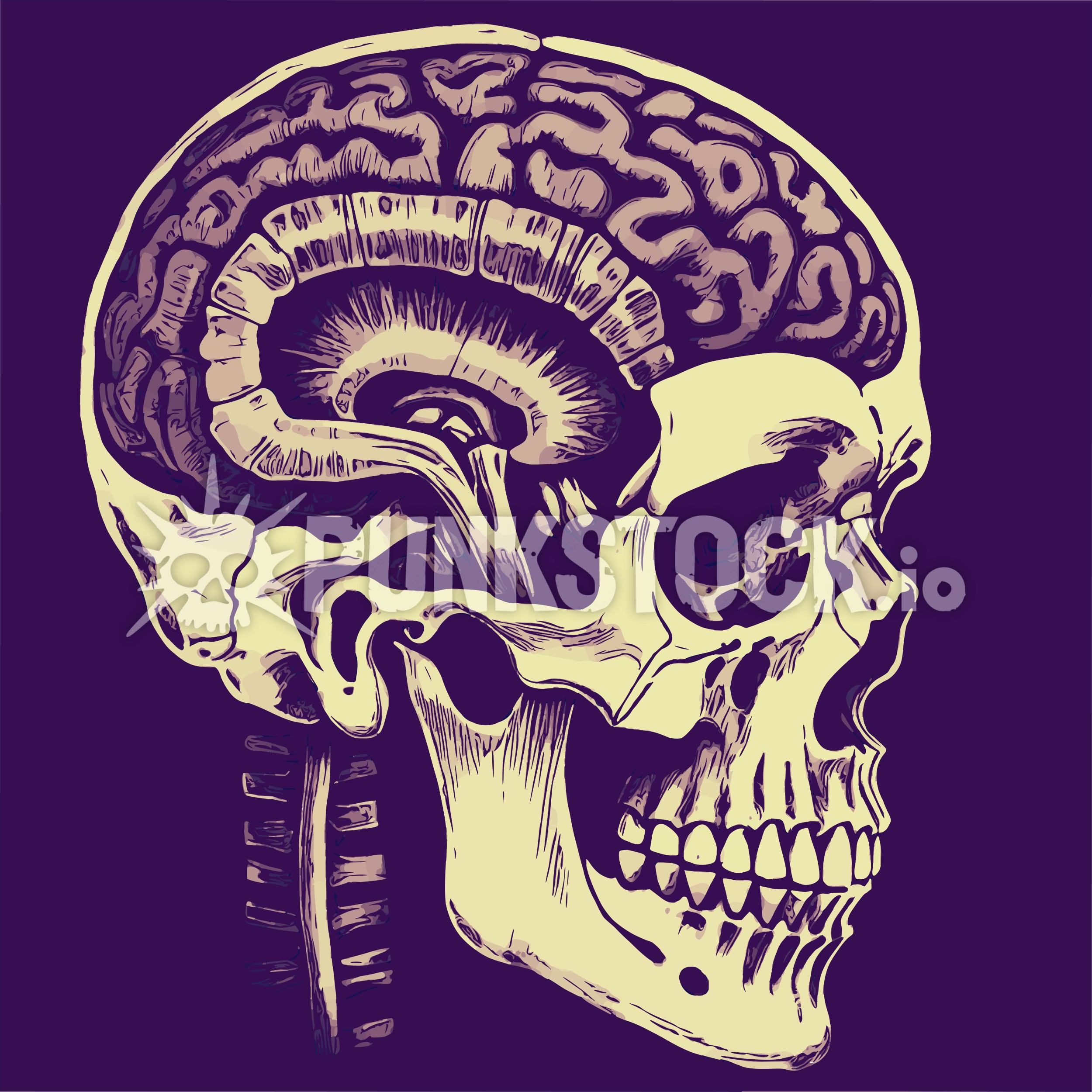 Side view sideview vector graphic