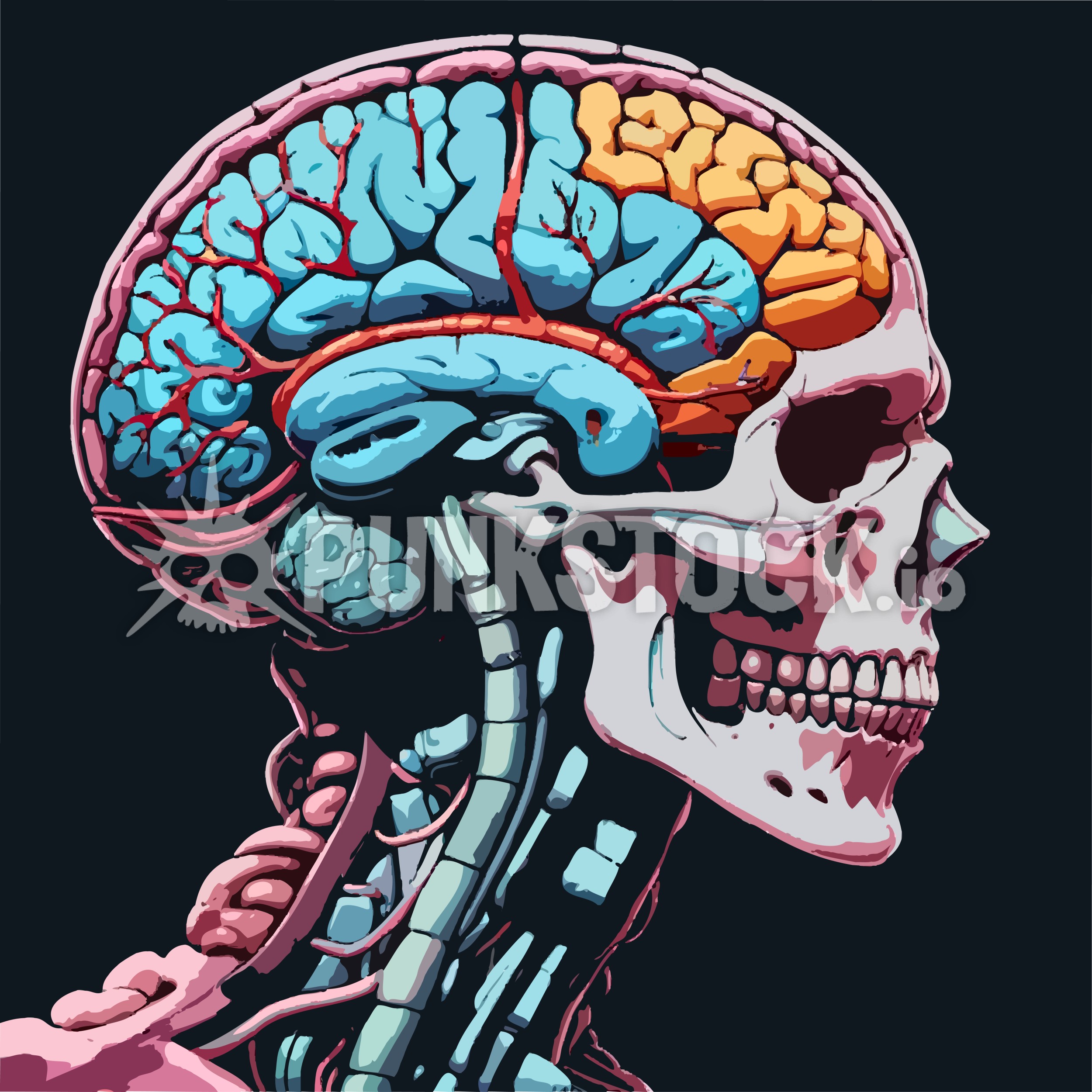 Brain brains biology vector graphic