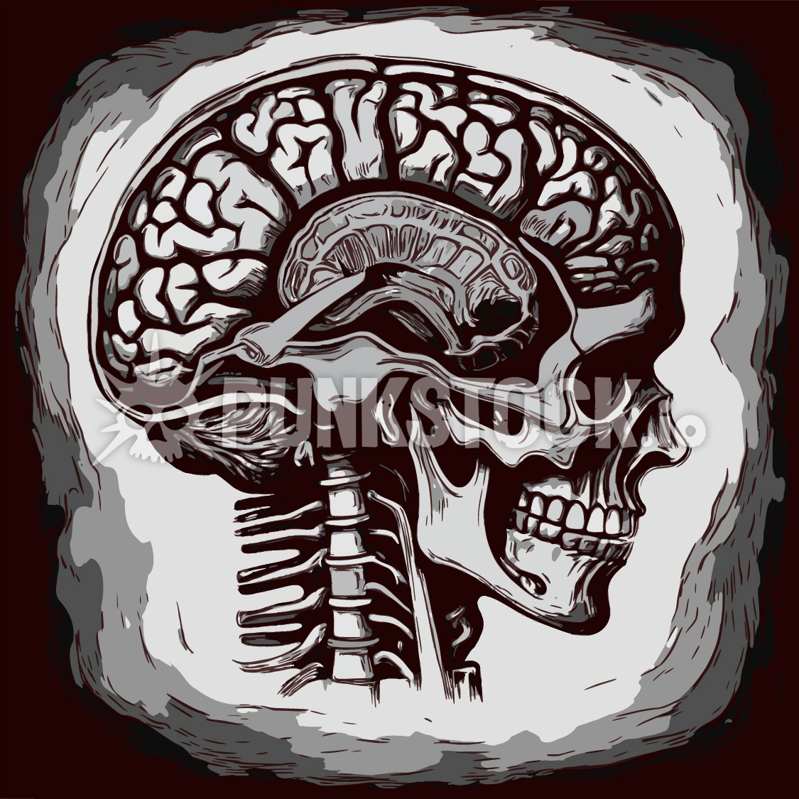 Skull brain brains vector graphic