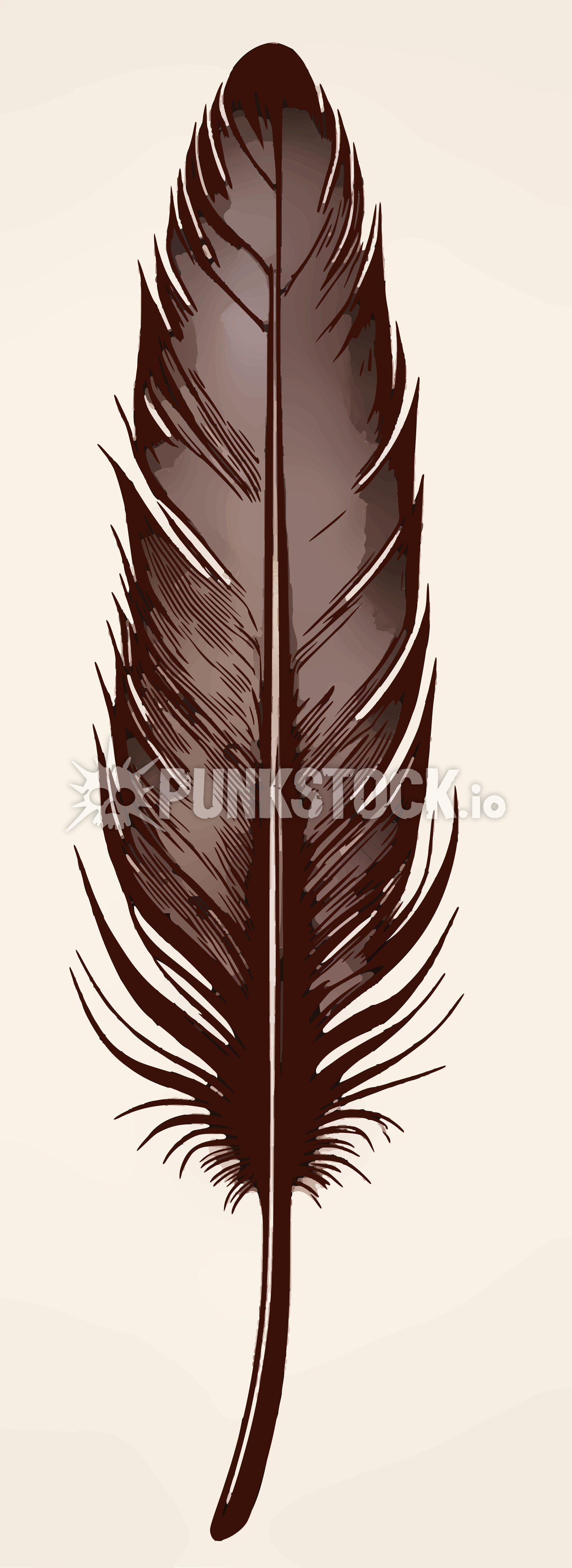Feather feathers delicate vector graphic