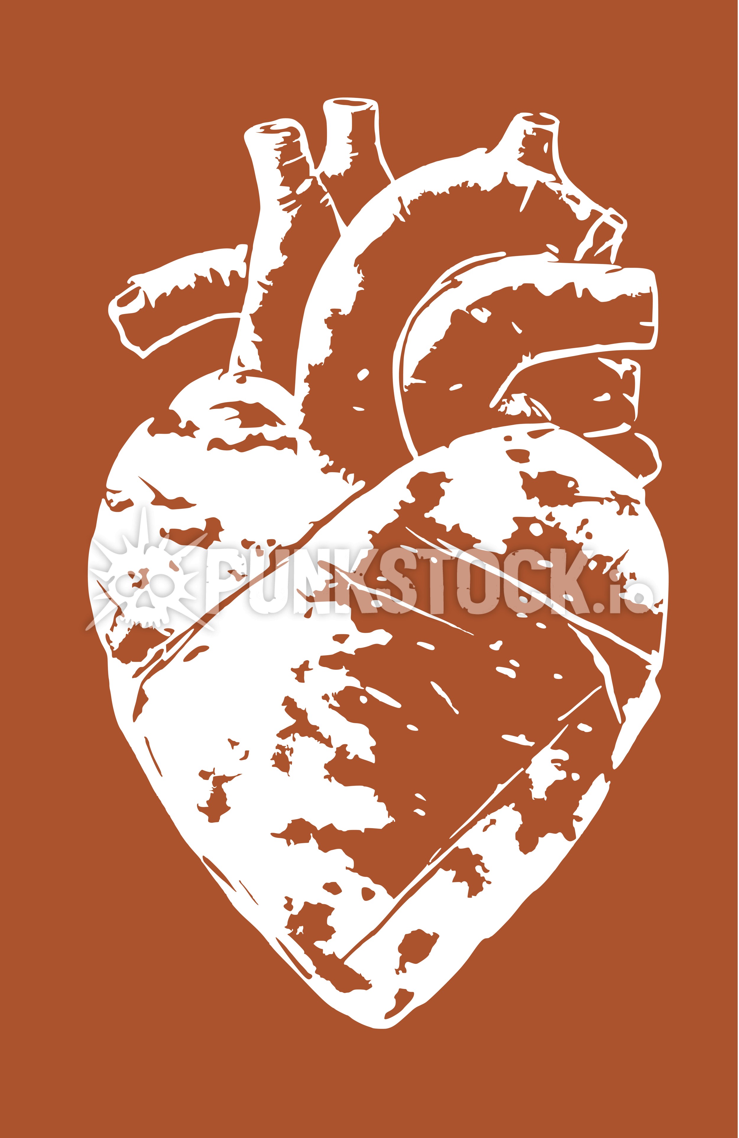 Heart biology print vector graphic