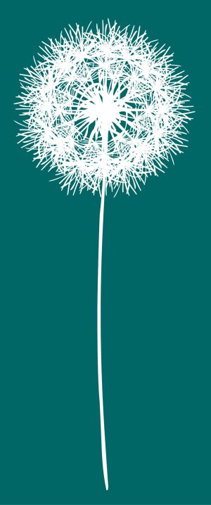 Dandelion vector graphic