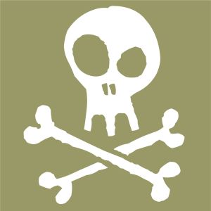 Skull vector graphic