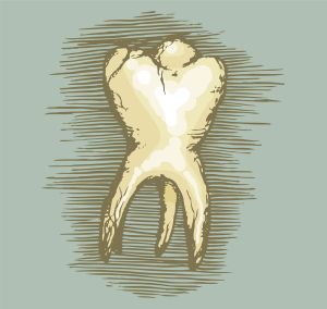 Sketch vector graphic