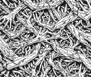 Sinew vector graphic